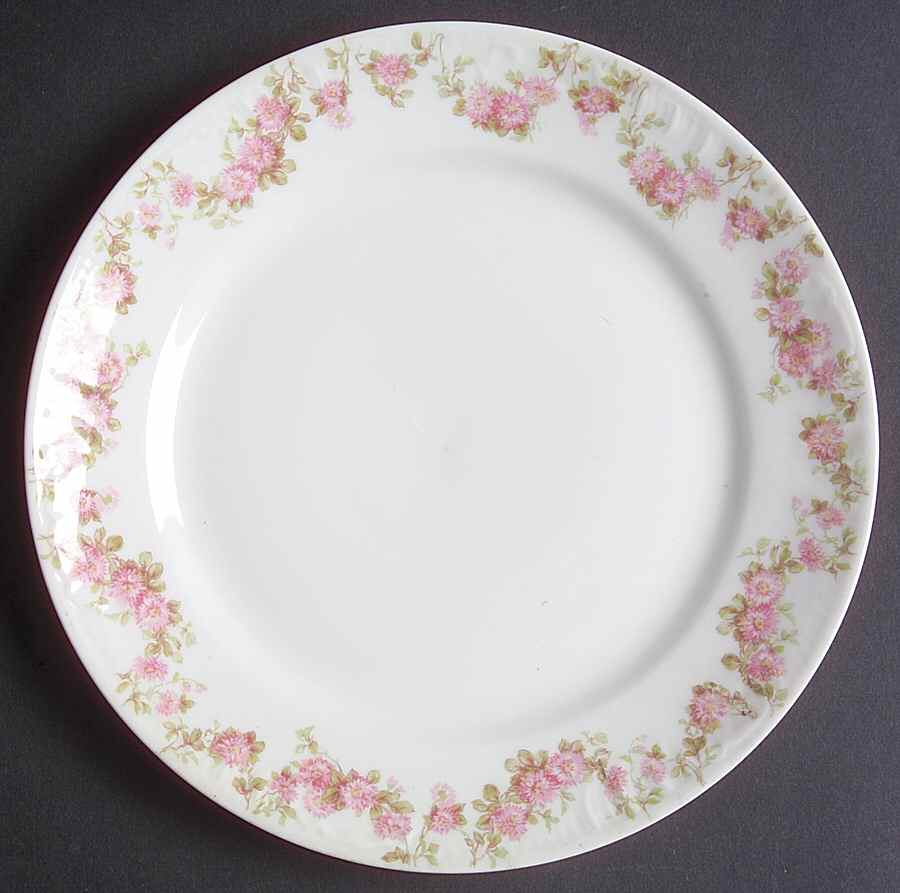 Schleiger 195-4 Salad Plate by Charles Field Haviland-1