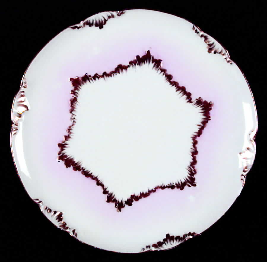 CHF129 Salad Plate by Charles Field Haviland-1