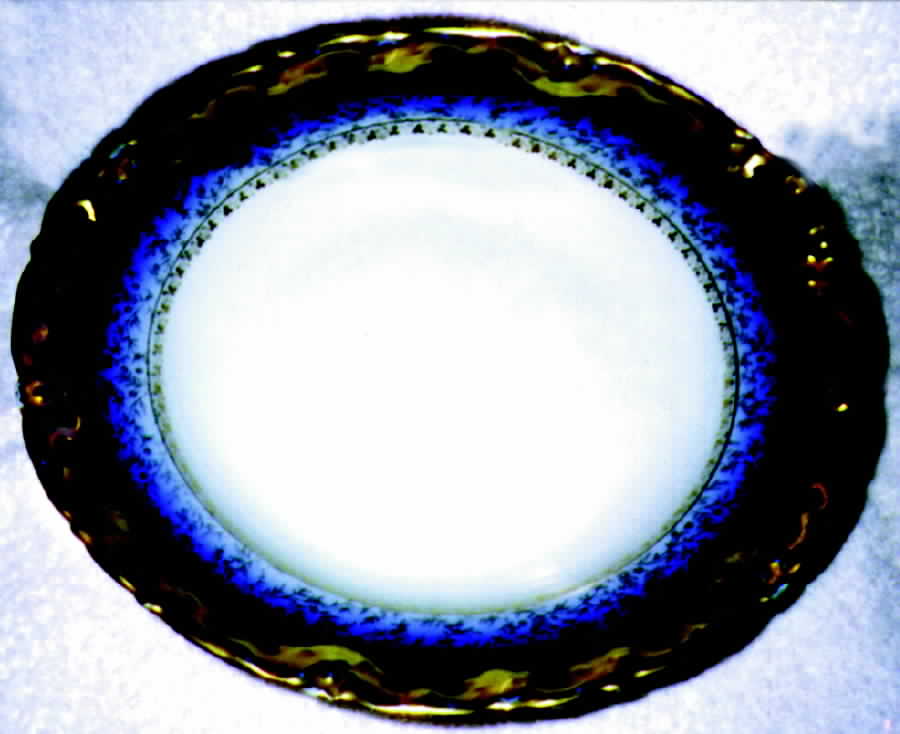 CHF134 Dinner Plate by Charles Field Haviland-1