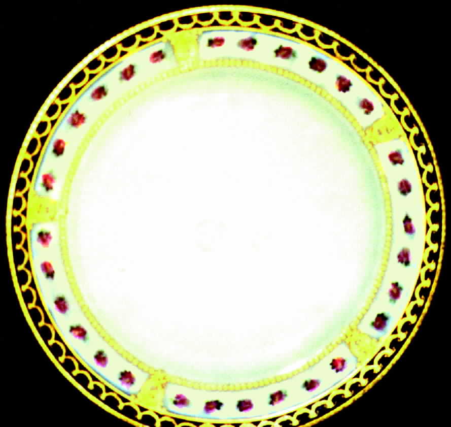 CHF136 Dinner Plate by Charles Field Haviland-1