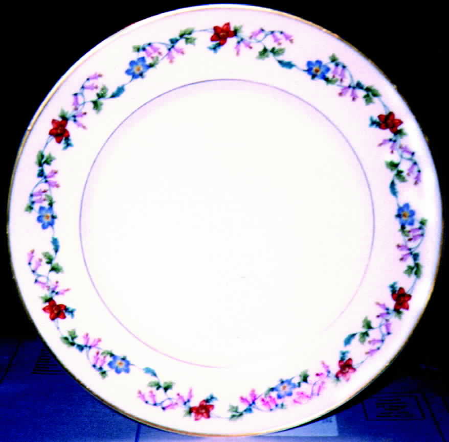 CHF145 Dinner Plate by Charles Field Haviland-1