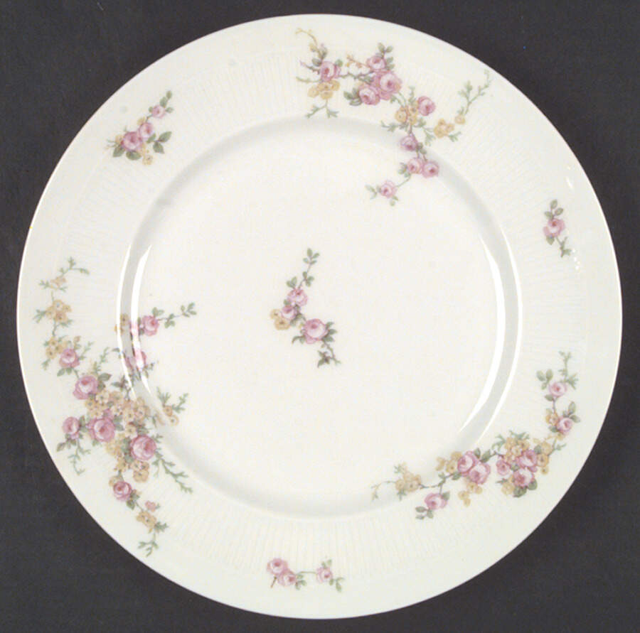 Schleiger 1318-1 Dinner Plate by Charles Field Haviland-1