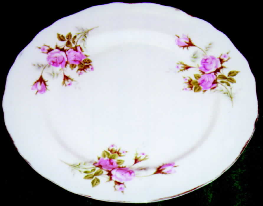 CHF158 Dinner Plate by Charles Field Haviland-1