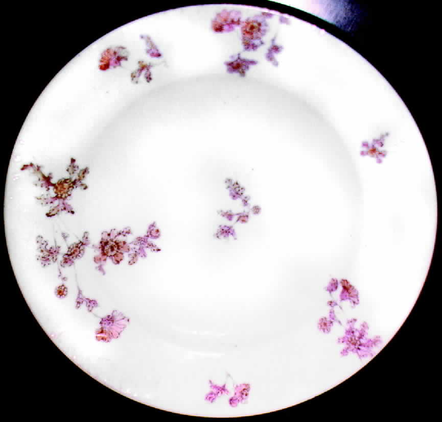 CHF160 Dinner Plate by Charles Field Haviland-1