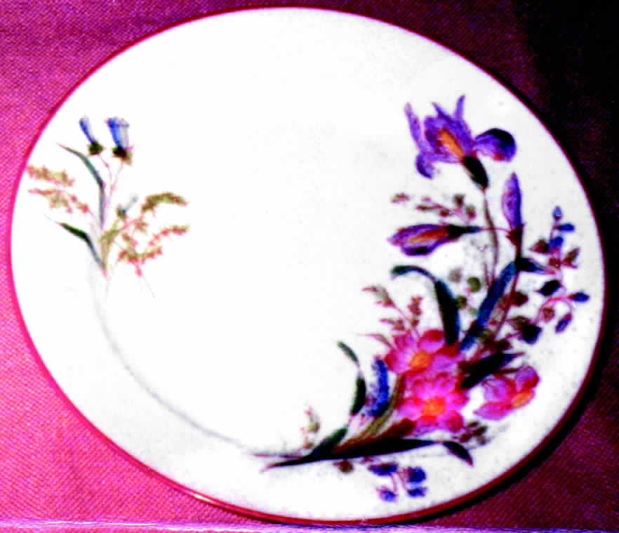 CHF167 Dinner Plate by Charles Field Haviland-1