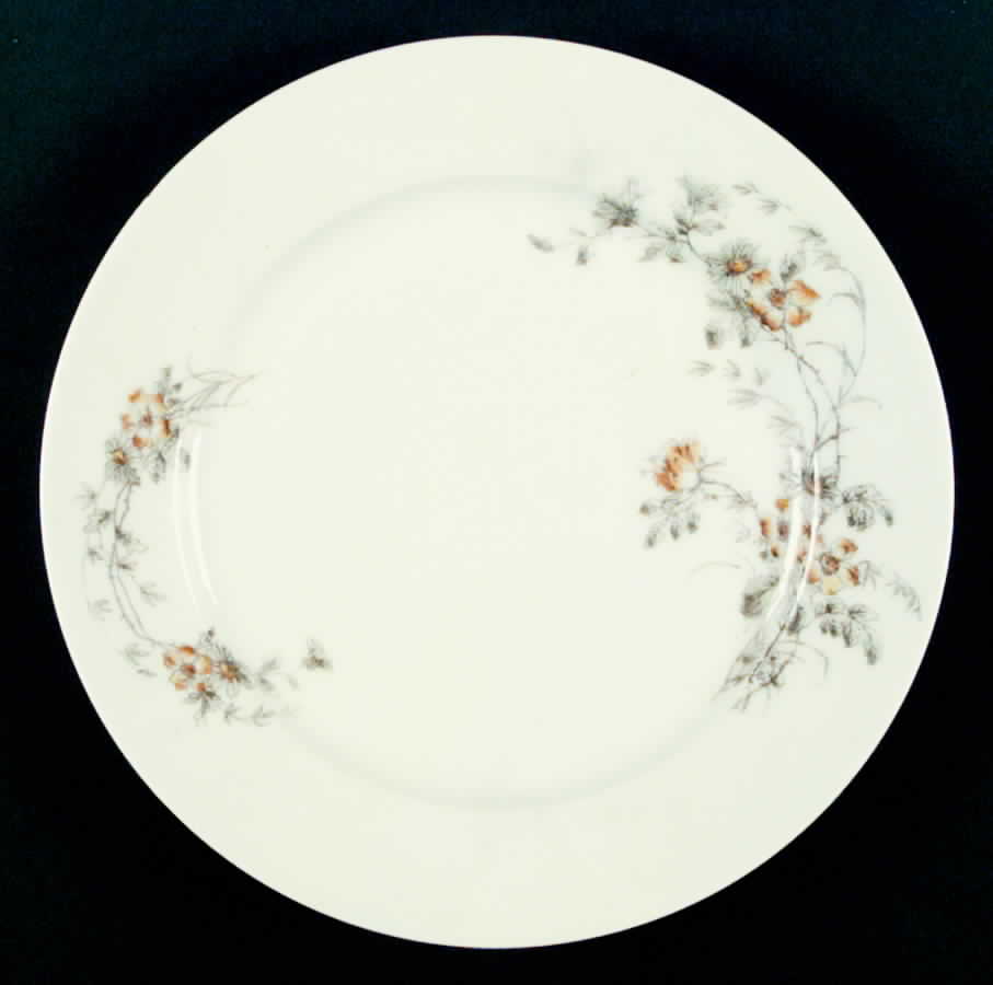 CHF168 Dinner Plate by Charles Field Haviland-1