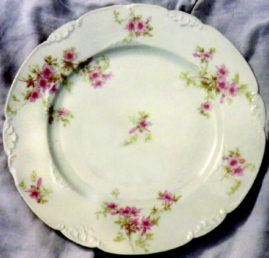 Schleiger 1293-8 Dinner Plate by Charles Field Haviland-1