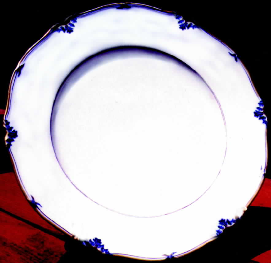 CHF184 Dinner Plate by Charles Field Haviland-1