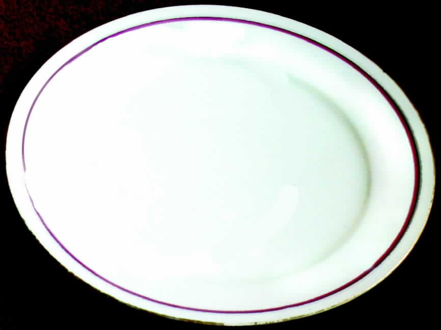CHF185 Dinner Plate by Charles Field Haviland-1