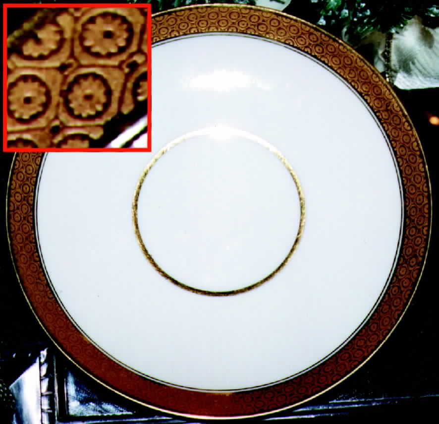 CHF187 Saucer by Charles Field Haviland-1