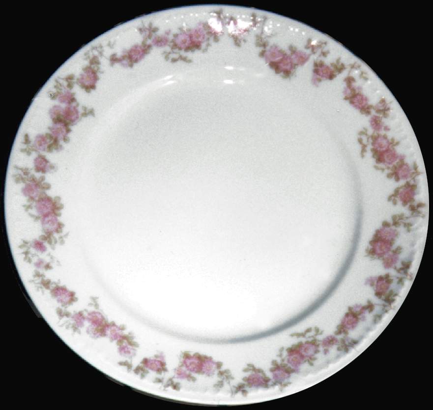 Schleiger 195-16 Dinner Plate by Charles Field Haviland-1