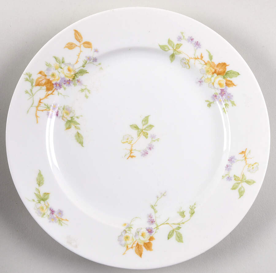 CHF19 Salad Plate by Charles Field Haviland-1