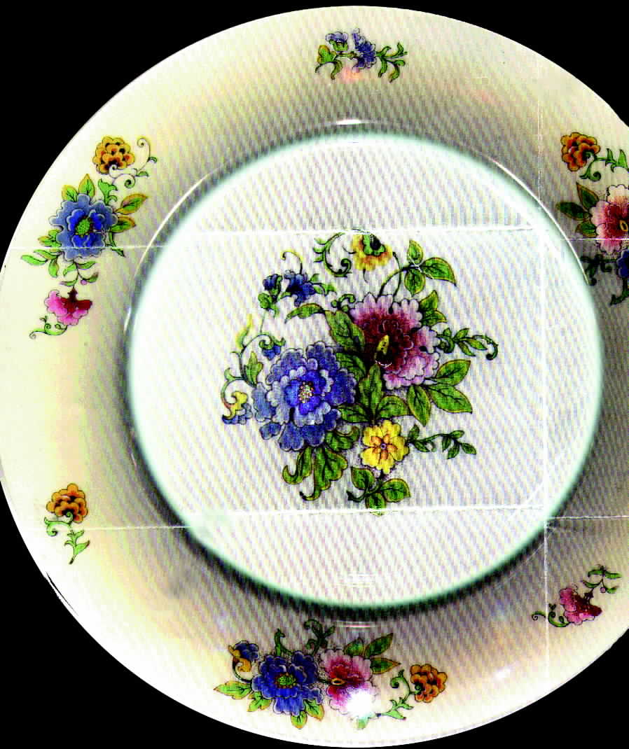 CHF190 Dinner Plate by Charles Field Haviland-1
