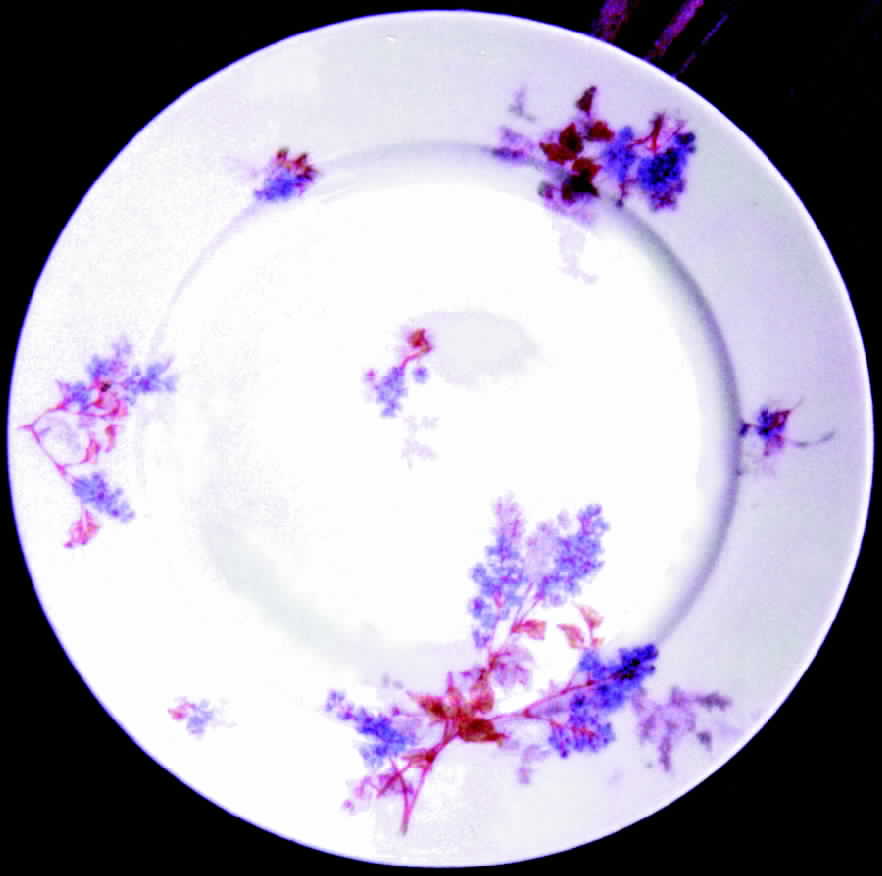 CHF194 Dinner Plate by Charles Field Haviland-1
