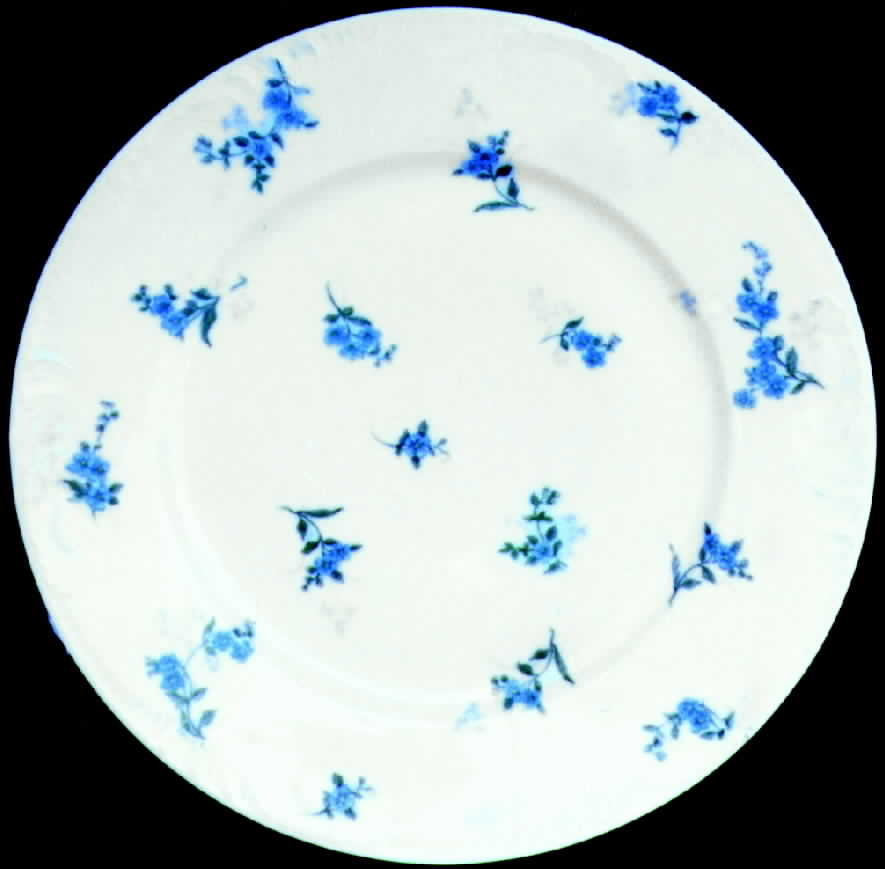CHF195 Dinner Plate by Charles Field Haviland-1