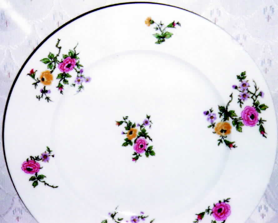 CHF196 Dinner Plate by Charles Field Haviland-1