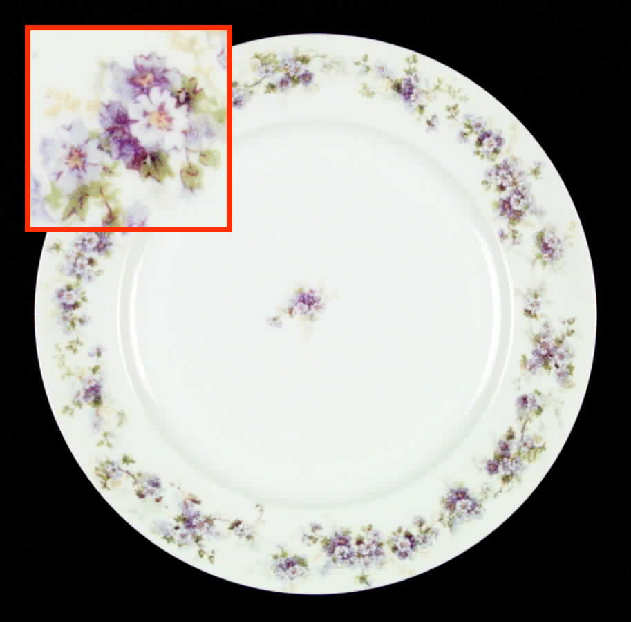 CHF198 Dinner Plate by Charles Field Haviland-1
