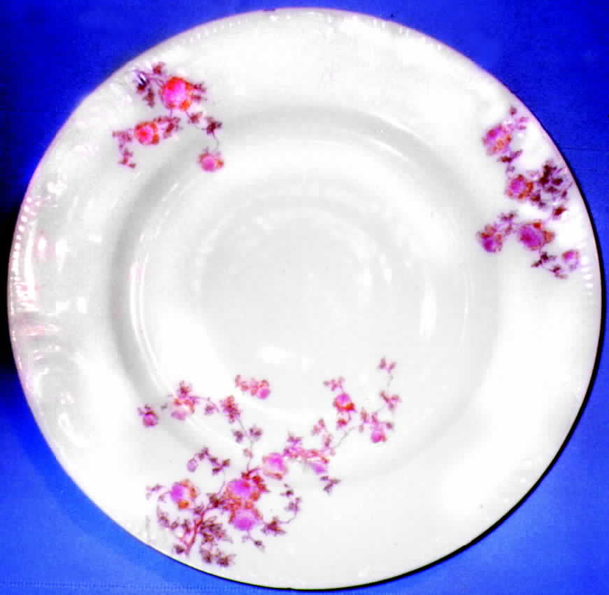 CHF200 Dinner Plate by Charles Field Haviland-1