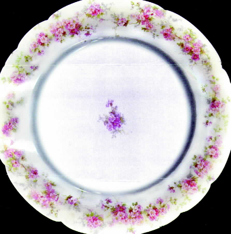 CHF204 Dinner Plate by Charles Field Haviland-1