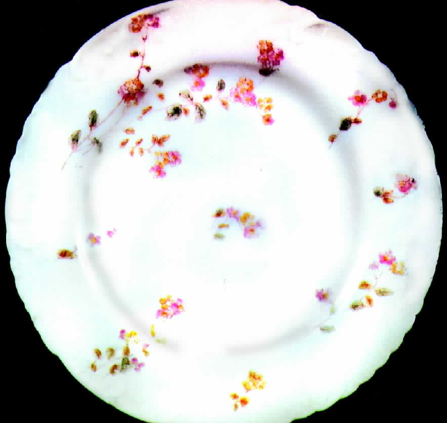 CHF205 Dinner Plate by Charles Field Haviland-1