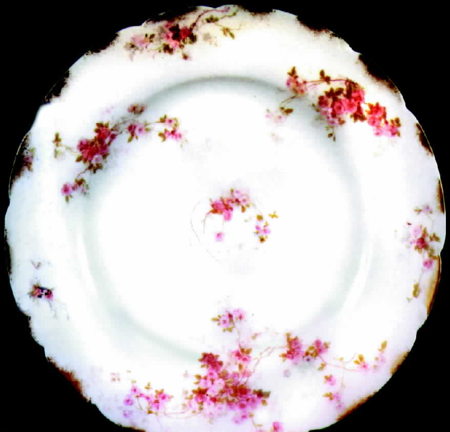 CHF206 Dinner Plate by Charles Field Haviland-1
