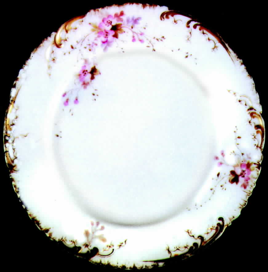 CHF207 Dinner Plate by Charles Field Haviland-1