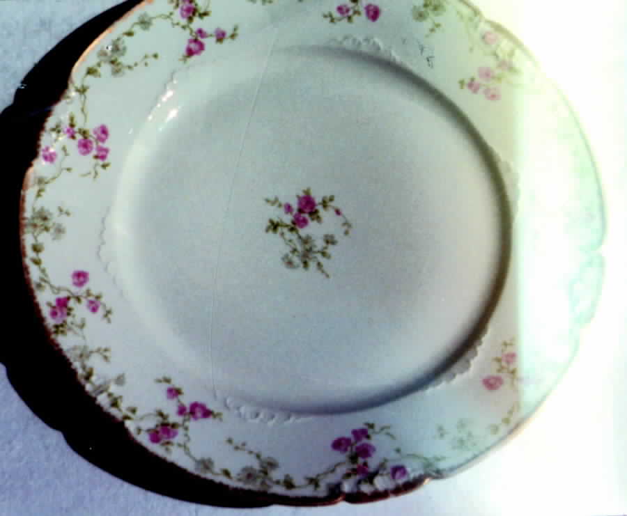 CHF208 Dinner Plate by Charles Field Haviland-1