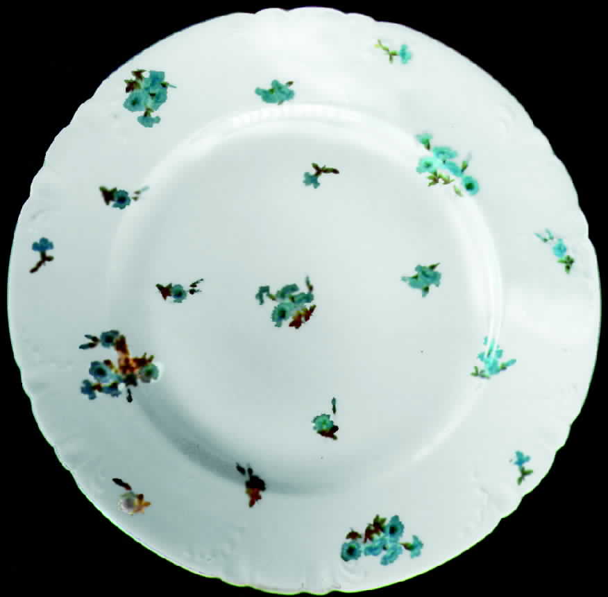 CHF209 Dinner Plate by Charles Field Haviland-1