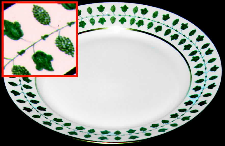 CHF214 Dinner Plate by Charles Field Haviland-1