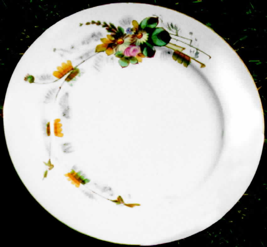 CHF216 Dinner Plate by Charles Field Haviland-1