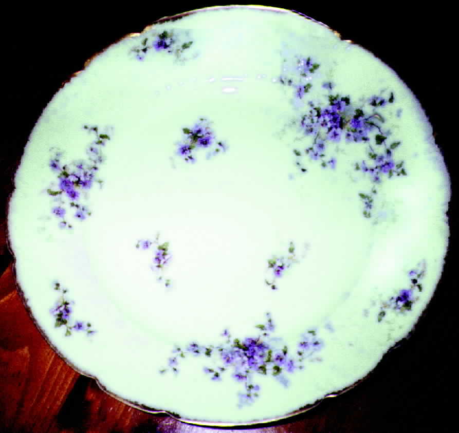 CHF224 Dinner Plate by Charles Field Haviland-1