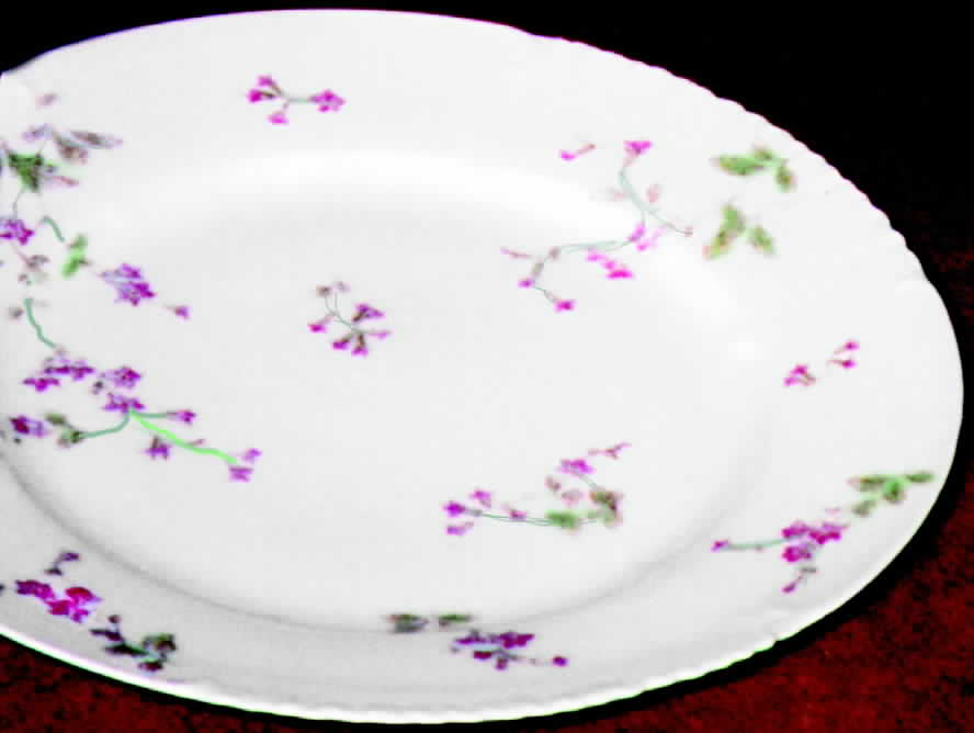 CHF226 Dinner Plate by Charles Field Haviland-1