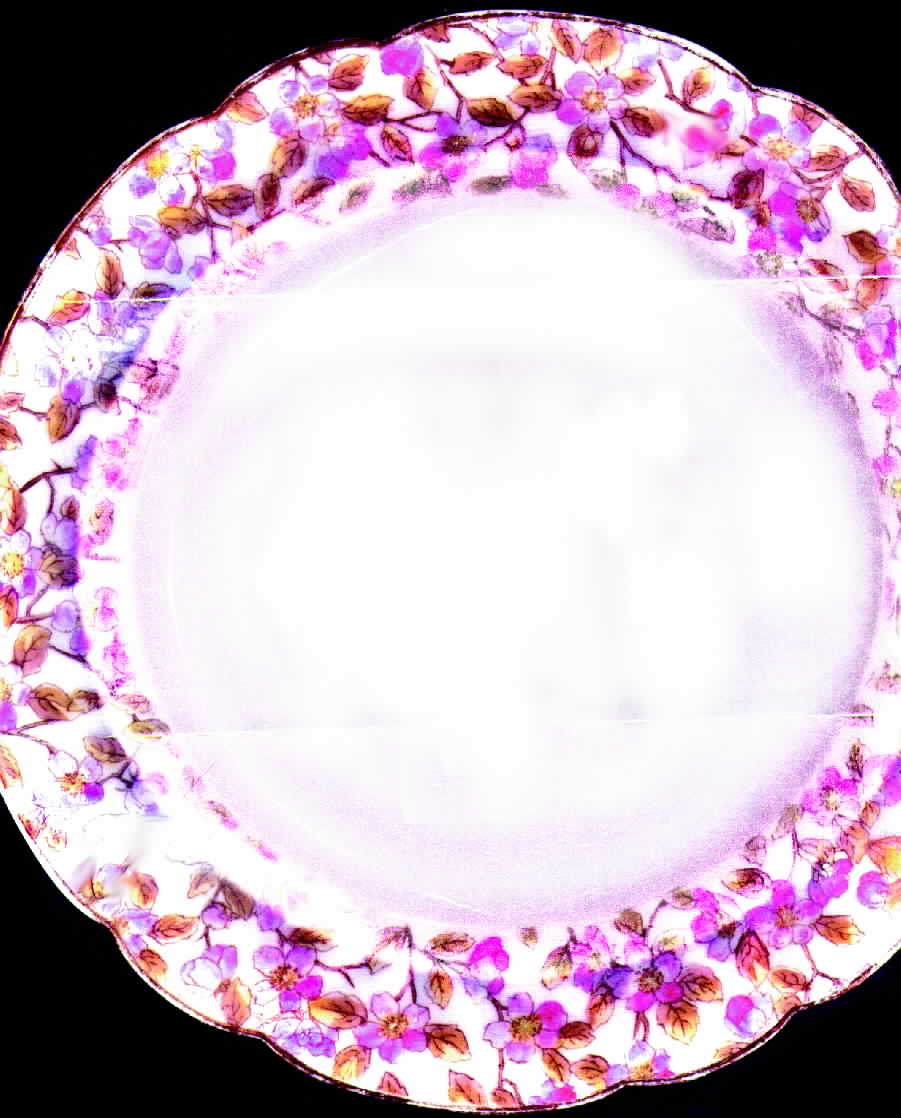 CHF227 Dinner Plate by Charles Field Haviland-1