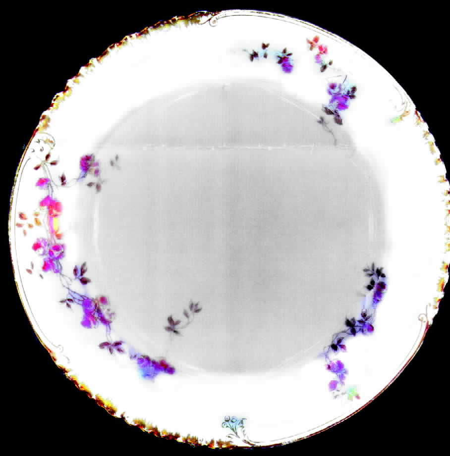 CHF228 Salad Plate by Charles Field Haviland-1