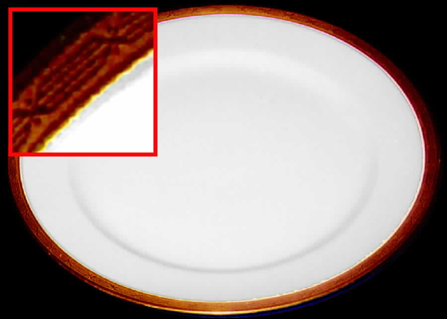 CHF239 Dinner Plate by Charles Field Haviland-1