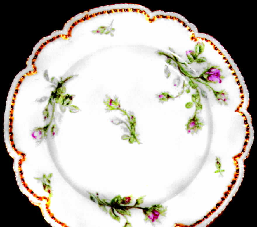 CHF240 Dinner Plate by Charles Field Haviland-1