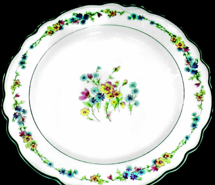 CHF241 Dinner Plate by Charles Field Haviland-1