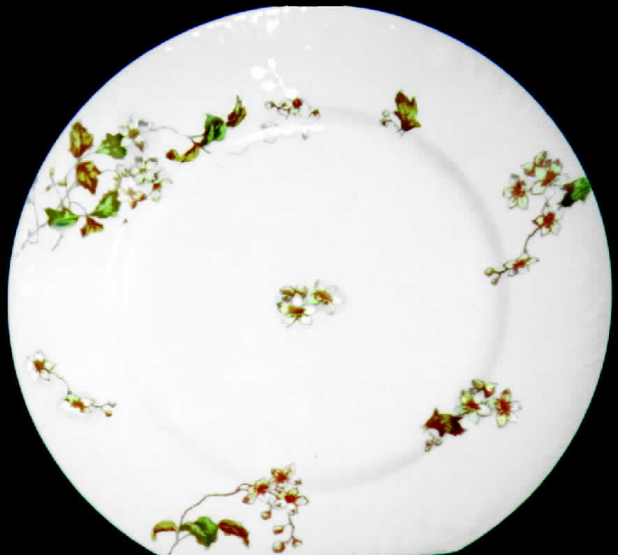 CHF242 Dinner Plate by Charles Field Haviland-1