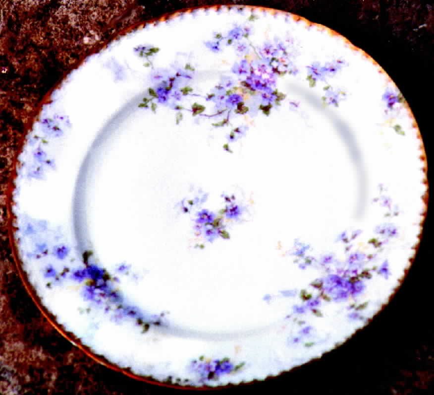 CHF246 Dinner Plate by Charles Field Haviland-1