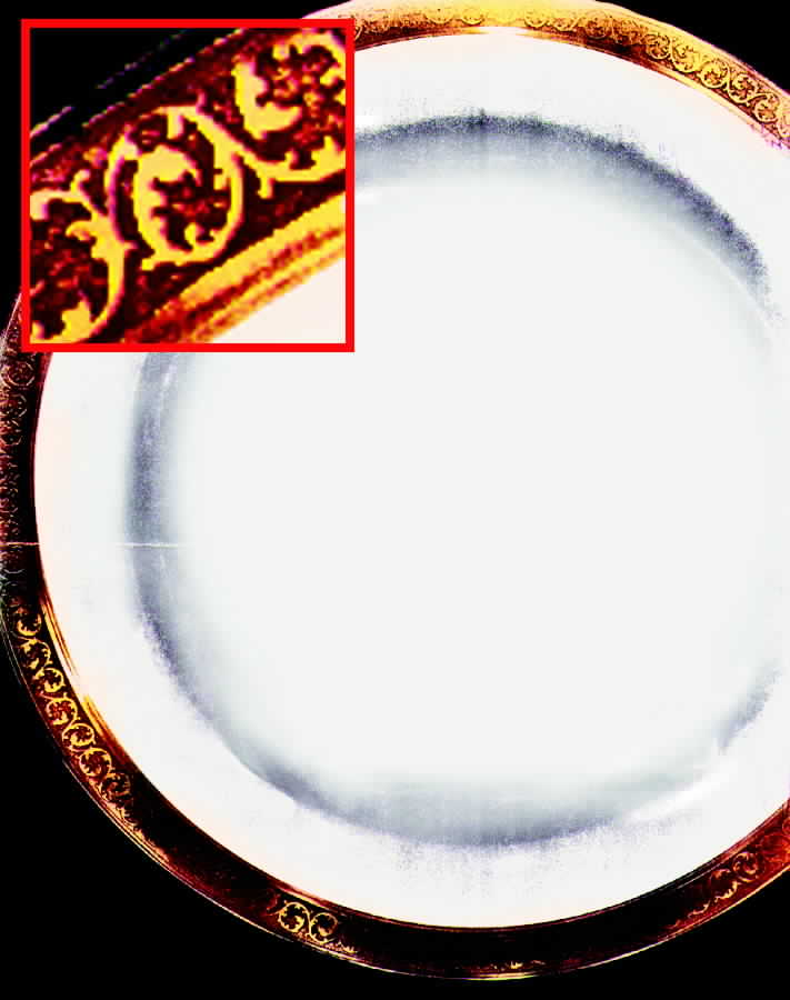 CHF263 Dinner Plate by Charles Field Haviland-1