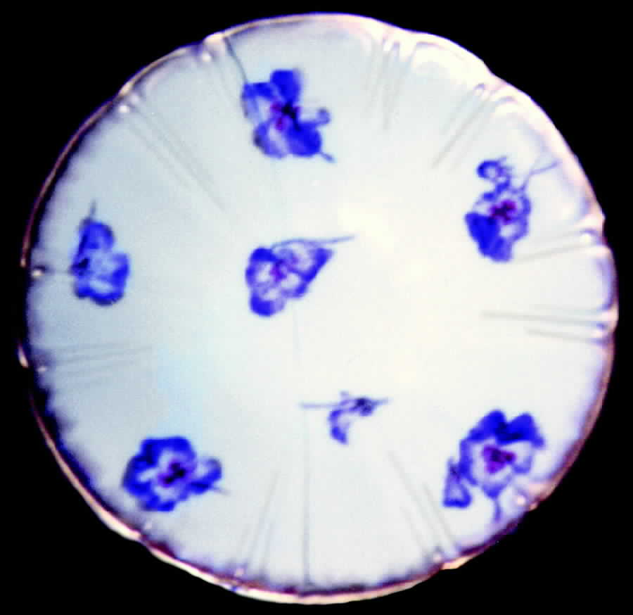 CHF283 Saucer by Charles Field Haviland-1