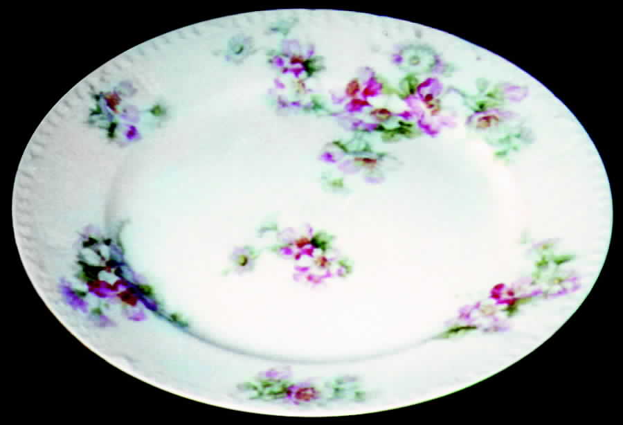 CHF286 Dinner Plate by Charles Field Haviland-1