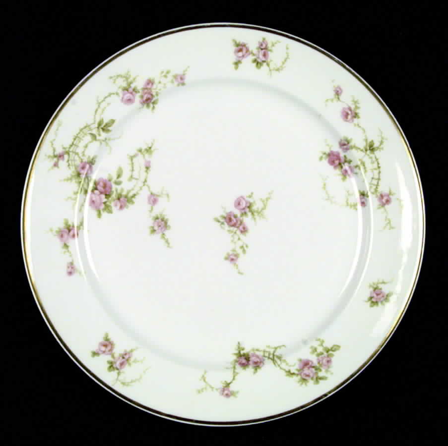 CHF29 Dinner Plate by Charles Field Haviland-1
