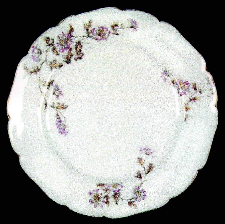 CHF293 Dinner Plate by Charles Field Haviland-1