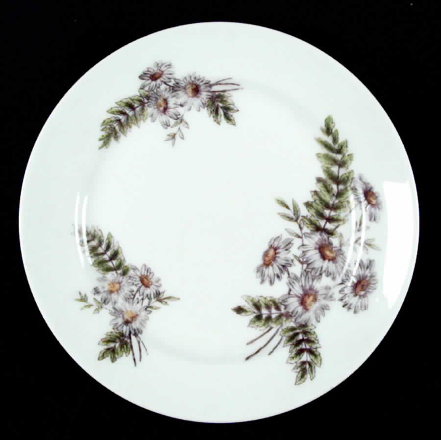CHF301 Salad Plate by Charles Field Haviland-1
