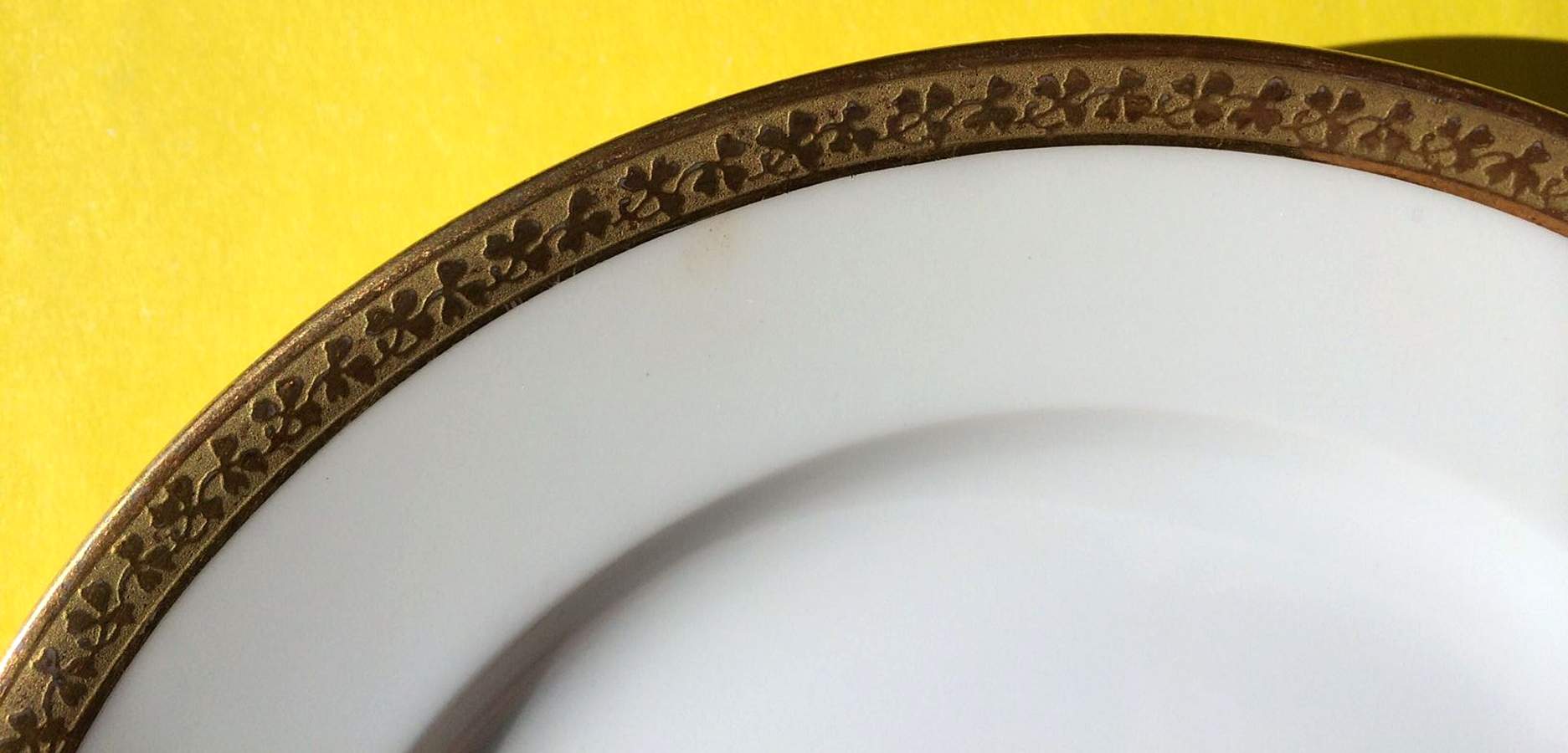 CHF304 Dinner Plate by Charles Field Haviland-1