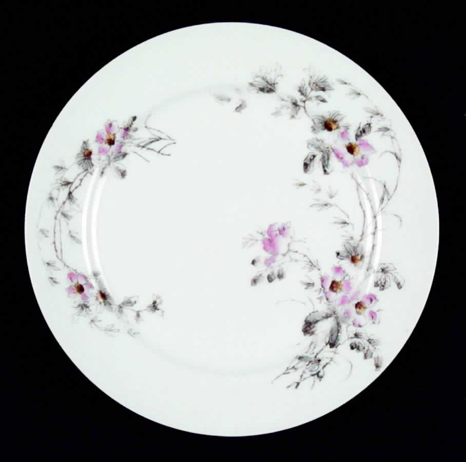 Schleiger 1301-3 Dinner Plate by Charles Field Haviland-1