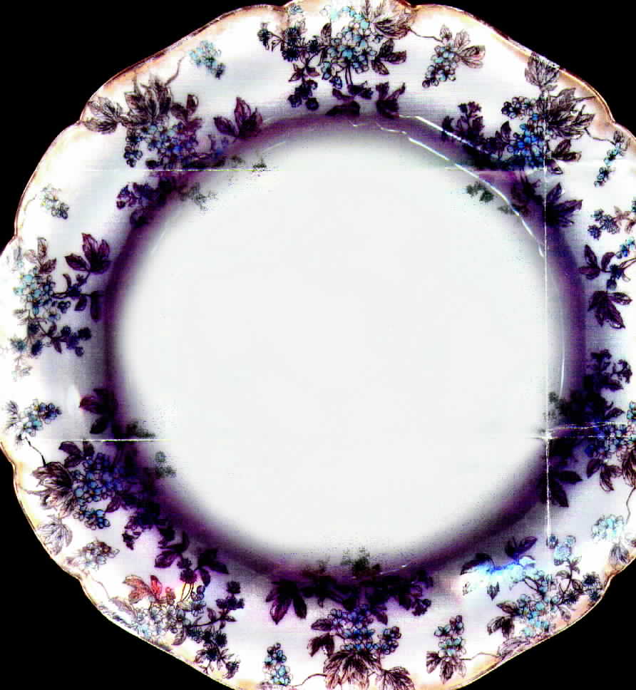 CHF312 Dinner Plate by Charles Field Haviland-1