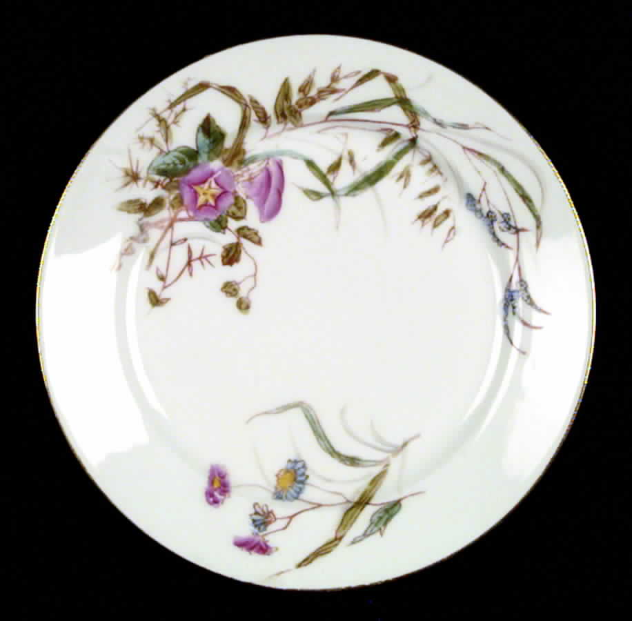 CHF46 Salad Plate by Charles Field Haviland-1