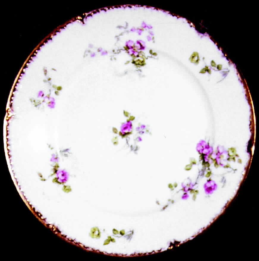 CHF70 Dinner Plate by Charles Field Haviland-1
